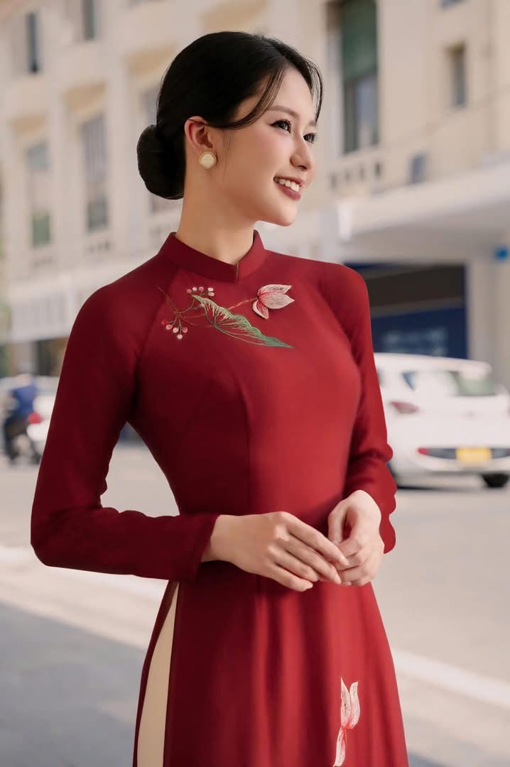 Red embroidery Modern Ao Dai | Pre-made Vietnamese Dress for Lunar New Year Ao Dai Viet Nam|Ao Dai Cach Tan with Pants S04