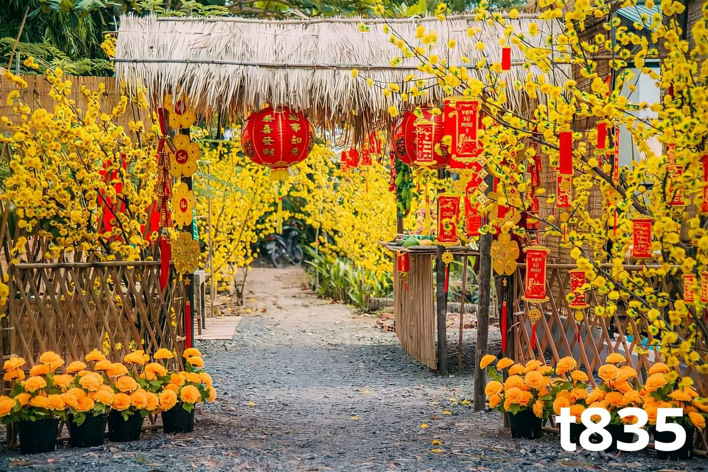 Tết Decoration Backdrop (Multiple style) 11