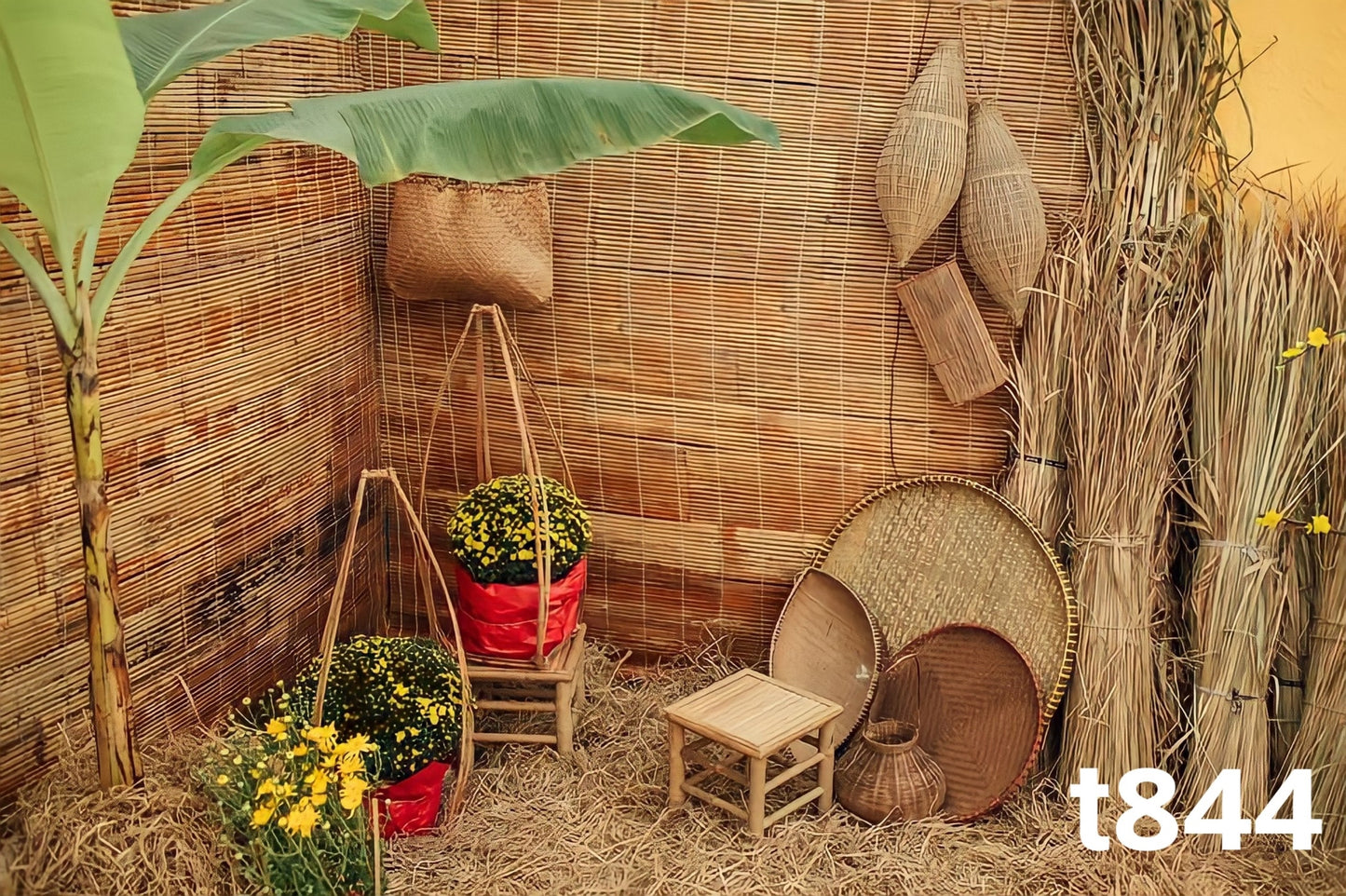 Tết Decoration Backdrop (Multiple style) 11