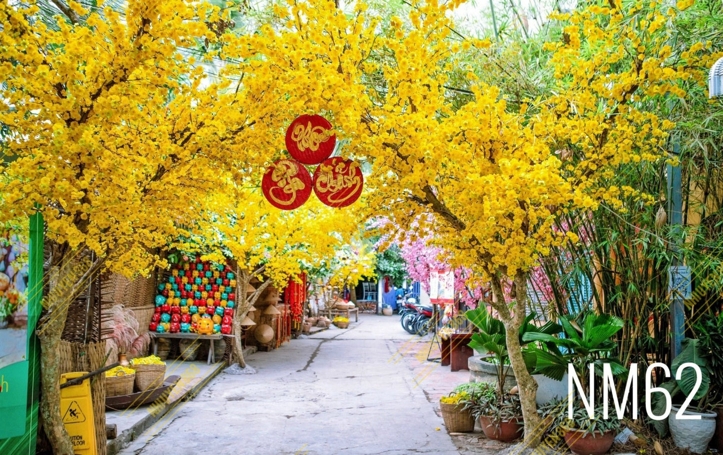 Tết Decoration Backdrop (Multiple style) 09