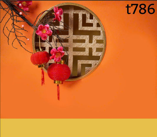 ( Pre-order -12 days) Tết Decoration Backdrop t786